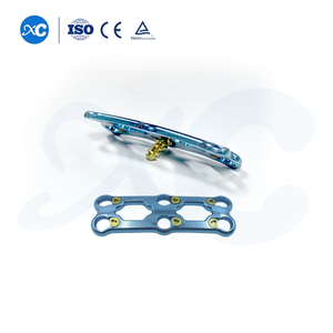 Передняя шейная пластина-III